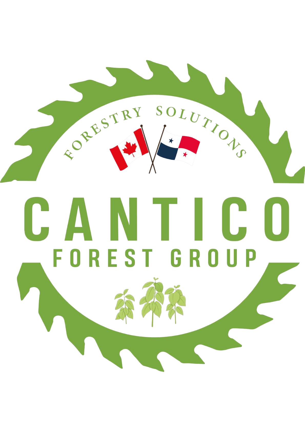 Cantico Forest Group logo